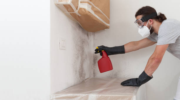 Professional Mold Removal technician working in Saddle River, NJ